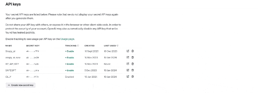 Step 5: Setup your OpenAI API Key